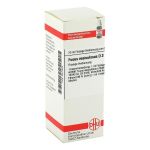 FUCUS VESICULOSUS D 3 Dilution (PZN 2614025) из Германии