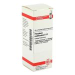 PETROLEUM RECTIFICATUM D 12 Dilution (PZN 2619809) из Германии