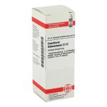 CAUSTICUM HAHNEMANNI D 12 Dilution (PZN 2112223) из Германии