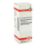 MOMORDICA BALSAMINA D 2 Dilution (PZN 2618247) из Германии