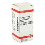 AVENA SATIVA D 12 Tabletten (PZN 2626301) из Германии