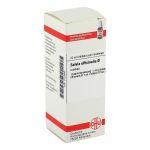 SALVIA OFFICINALIS Urtinktur (PZN 2123563) из Германии