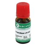 LYCOPODIUM LM 12 Dilution (PZN 2602683) из Германии