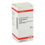 FLOR DE PIEDRA D 4 Tabletten (PZN 2114529) из Германии