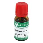 CANTHARIS LM 6 Dilution (PZN 2601241) из Германии