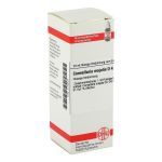 CONVALLARIA MAJALIS D 4 Dilution (PZN 2128247) из Германии