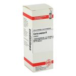 CARICA papaya Urtinktur (PZN 2610085) из Германии