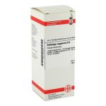 SOLIDAGO VIRGAUREA D 3 Dilution (PZN 2622007) из Германии