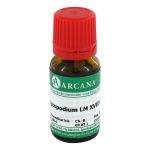 LYCOPODIUM LM 18 Dilution (PZN 2602708) из Германии