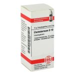 CHOLESTERINUM D 10 Globuli (PZN 2801603) из Германии