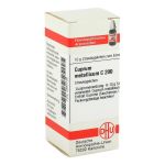 CUPRUM METALLICUM C 200 Globuli (PZN 2897709) из Германии