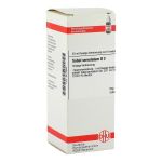SABAL SERRULATUM D 3 Dilution (PZN 2810890) из Германии