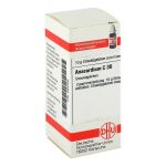 ANACARDIUM C 30 Globuli (PZN 2892988) из Германии