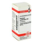 PETROLEUM RECTIFICATUM C 30 Globuli (PZN 2928841) из Германии