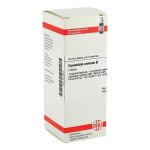 EQUISETUM ARVENSE Urtinktur (PZN 2814853) из Германии