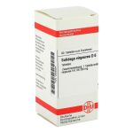 SOLIDAGO VIRGAUREA D 6 Tabletten (PZN 2808284) из Германии