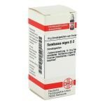 SAMBUCUS NIGRA D 2 Globuli (PZN 2890357) из Германии