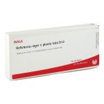 HELLEBORUS NIGER e planta tota D 12 Ampullen (PZN 2884569) из Германии
