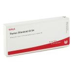 THYMUS GLANDULA GL D 4 Ampullen (PZN 2829441) из Германии