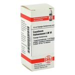 LM CAUSTICUM Hahnemanni VI Dilution (PZN 2668021) из Германии