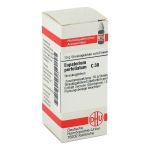 EUPATORIUM PERFOLIATUM C 30 Globuli (PZN 2898459) из Германии