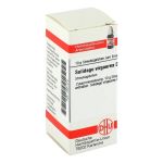 SOLIDAGO VIRGAUREA D 4 Globuli (PZN 2931470) из Германии