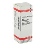 CARBO VEGETABILIS D 6 Dilution (PZN 2889130) из Германии