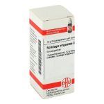 SOLIDAGO VIRGAUREA D 3 Globuli (PZN 2931464) из Германии