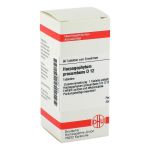 HARPAGOPHYTUM PROCUMBENS D 12 Tabletten (PZN 2924257) из Германии