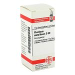 PLUMBUM METALLICUM D 30 Globuli (PZN 2929504) из Германии