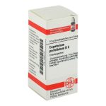 EUPATORIUM PERFOLIATUM D 6 Globuli (PZN 2890179) из Германии