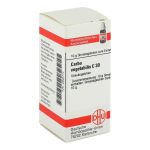 CARBO VEGETABILIS C 30 Globuli (PZN 2895774) из Германии