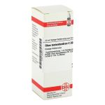 RHUS TOXICODENDRON C 30 Dilution (PZN 2930217) из Германии