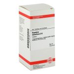 ARGENTUM METALLICUM D 6 Tabletten (PZN 2811748) из Германии