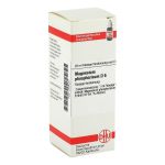 MAGNESIUM PHOSPHORICUM D 6 Dilution (PZN 2889207) из Германии