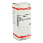 VISCUM ALBUM D 6 Dilution (PZN 2811501) из Германии