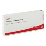 EUPHRASIA E planta tota D 6 Ampullen (PZN 2921572) из Германии
