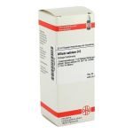 ALLIUM SATIVUM D 6 Dilution (PZN 2892706) из Германии