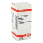 PASSIFLORA INCARNATA D 2 Tabletten (PZN 2928752) из Германии