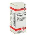 RHUS TOXICODENDRON D 10 Globuli (PZN 2638646) из Германии