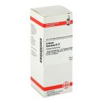 CALCIUM FLUORATUM D 12 Dilution (PZN 2809125) из Германии