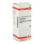 HAMAMELIS D 2 Dilution (PZN 2802413) из Германии
