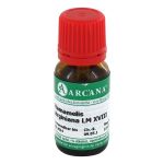 HAMAMELIS VIRGINIANA LM 18 Dilution (PZN 3504623) из Германии