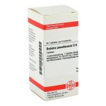 ROBINIA PSEUDACACIA D 6 Tabletten (PZN 3631770) из Германии