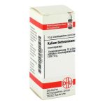 KALIUM BICHROMICUM C 200 Globuli (PZN 3631623) из Германии