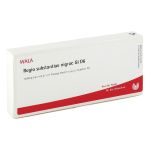 REGIO substantiae nigrae GL D 6 Ampullen (PZN 2956240) из Германии