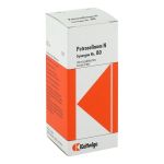 SYNERGON KOMPLEX 80 Petroselinum N Tropfen (PZN 3574960) из Германии