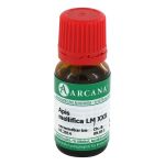 APIS MELLIFICA LM 30 Dilution (PZN 3503598) из Германии