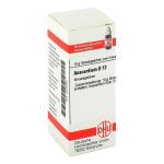 ANACARDIUM D 12 Globuli (PZN 4203332) из Германии