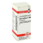 APIS MELLIFICA C 1000 Globuli (PZN 4203792) из Германии